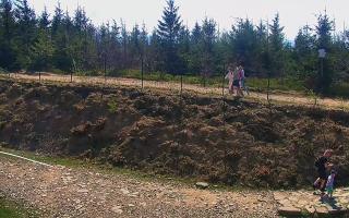 TMR - Zbójnicka Kopa #2 - 03-05-2025 09:15