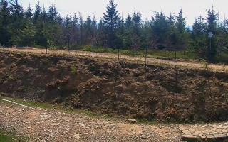 TMR - Zbójnicka Kopa #2 - 03-05-2025 09:26