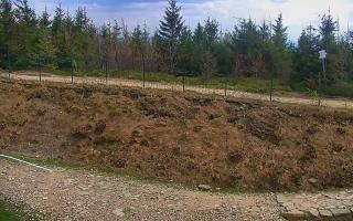 TMR - Zbójnicka Kopa #2 - 03-05-2025 12:24