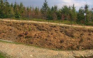 TMR - Zbójnicka Kopa #2 - 03-05-2025 13:19