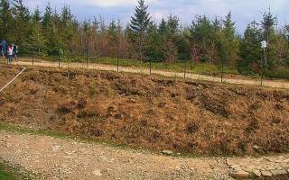 TMR - Zbójnicka Kopa #2 - 03-05-2025 13:30
