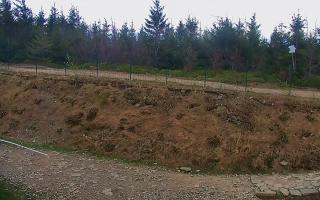 TMR - Zbójnicka Kopa #2 - 03-05-2025 13:53