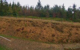 TMR - Zbójnicka Kopa #2 - 03-05-2025 14:26