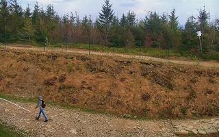 TMR - Zbójnicka Kopa #2 - 03-05-2025 14:37