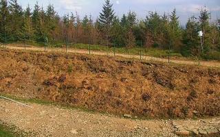 TMR - Zbójnicka Kopa #2 - 03-05-2025 14:48
