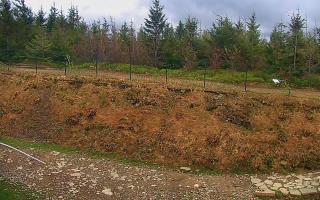 TMR - Zbójnicka Kopa #2 - 04-05-2025 06:33