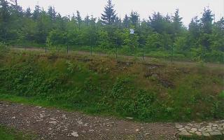 TMR - Zbójnicka Kopa #2 - 17-06-2025 04:02