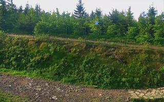 TMR - Zbójnicka Kopa #2 - 17-06-2025 04:47