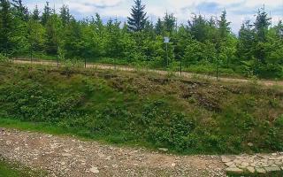 TMR - Zbójnicka Kopa #2 - 17-06-2025 11:27