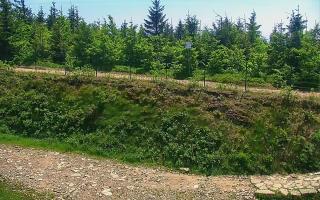 TMR - Zbójnicka Kopa #2 - 18-06-2025 10:25