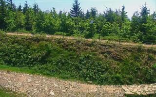 TMR - Zbójnicka Kopa #2 - 18-06-2025 10:37