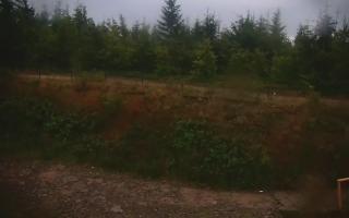 TMR - Zbójnicka Kopa #2 - 02-08-2025 02:45
