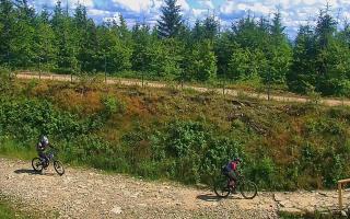 TMR - Zbójnicka Kopa #2 - 02-08-2025 13:19