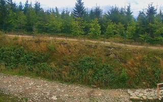TMR - Zbójnicka Kopa #2 - 16-09-2025 13:02