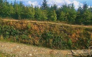 TMR - Zbójnicka Kopa #2 - 16-09-2025 14:20