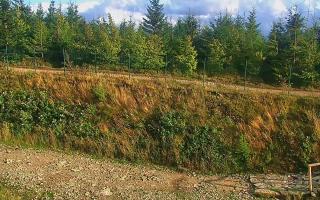 TMR - Zbójnicka Kopa #2 - 16-09-2025 15:05