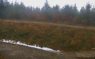 TMR - Zbójnicka Kopa #2 - 29-10-2025 08:41