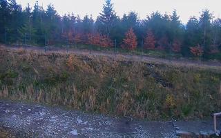 TMR - Zbójnicka Kopa #2 - 01-11-2025 15:15