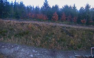 TMR - Zbójnicka Kopa #2 - 01-11-2025 15:26