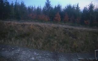 TMR - Zbójnicka Kopa #2 - 01-11-2025 15:49