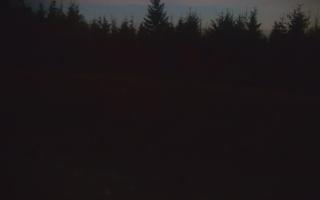 TMR - Zbójnicka Kopa #2 - 01-11-2025 16:00