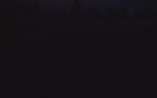 TMR - Zbójnicka Kopa #2 - 01-11-2025 16:11