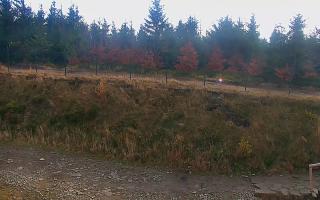 TMR - Zbójnicka Kopa #2 - 02-11-2025 09:47