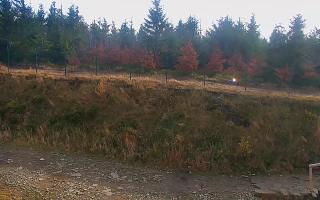 TMR - Zbójnicka Kopa #2 - 02-11-2025 10:10