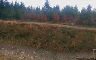 TMR - Zbójnicka Kopa #2 - 02-11-2025 10:21