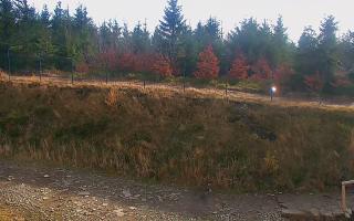 TMR - Zbójnicka Kopa #2 - 02-11-2025 10:32