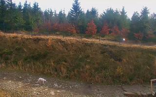 TMR - Zbójnicka Kopa #2 - 02-11-2025 10:43