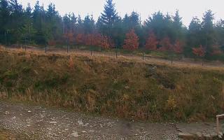 TMR - Zbójnicka Kopa #2 - 02-11-2025 10:54