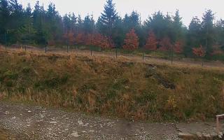 TMR - Zbójnicka Kopa #2 - 02-11-2025 11:05