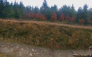 TMR - Zbójnicka Kopa #2 - 02-11-2025 11:27