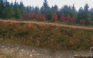 TMR - Zbójnicka Kopa #2 - 02-11-2025 11:50