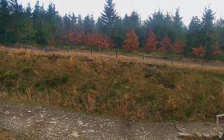 TMR - Zbójnicka Kopa #2 - 02-11-2025 12:01