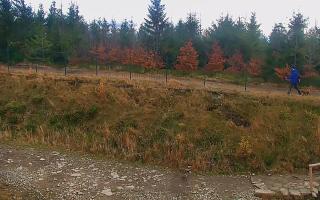 TMR - Zbójnicka Kopa #2 - 02-11-2025 12:23