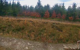 TMR - Zbójnicka Kopa #2 - 02-11-2025 12:56