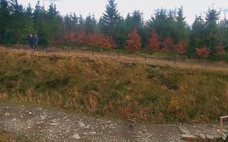 TMR - Zbójnicka Kopa #2 - 02-11-2025 13:07