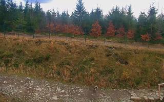 TMR - Zbójnicka Kopa #2 - 02-11-2025 13:19