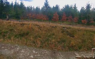 TMR - Zbójnicka Kopa #2 - 02-11-2025 13:30