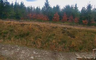 TMR - Zbójnicka Kopa #2 - 02-11-2025 13:41