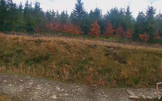 TMR - Zbójnicka Kopa #2 - 02-11-2025 13:52