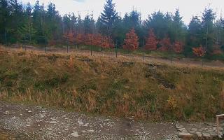 TMR - Zbójnicka Kopa #2 - 02-11-2025 14:03