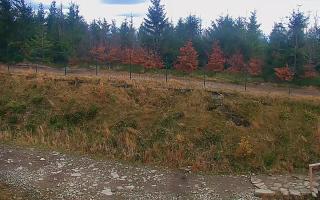 TMR - Zbójnicka Kopa #2 - 02-11-2025 14:14