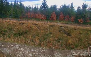 TMR - Zbójnicka Kopa #2 - 02-11-2025 14:25