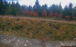 TMR - Zbójnicka Kopa #2 - 02-11-2025 14:36