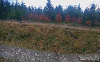 TMR - Zbójnicka Kopa #2 - 02-11-2025 14:48