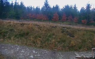 TMR - Zbójnicka Kopa #2 - 02-11-2025 14:59