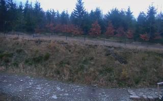 TMR - Zbójnicka Kopa #2 - 02-11-2025 15:32